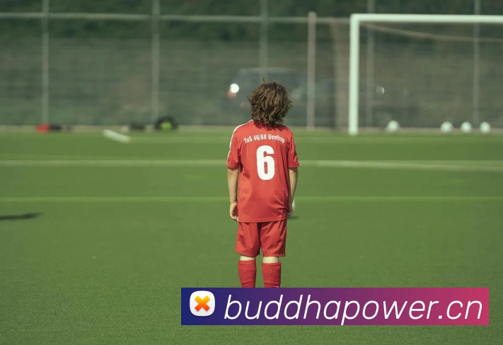 ayx登录平台平台生态图